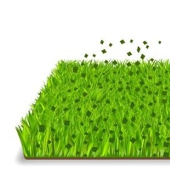 gras mulch teaser