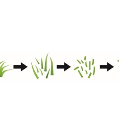 Mulching image
